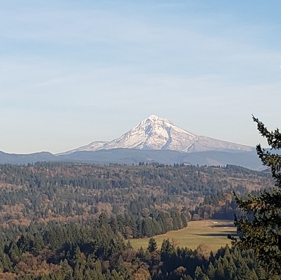 oregon_gal